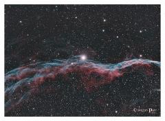 cirrus_bicolor_nonlinear_v4