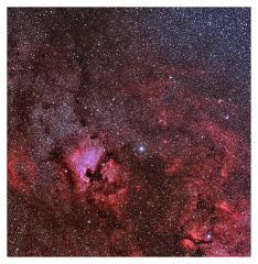 cygnus_feld1_ha_oiiI_rgb
