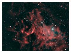 f-flamingstar_hargb_pi