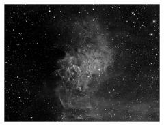 flaming_star_ha_final