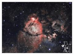ic1795_bicolor