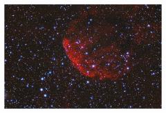 jellyfish_greyc_neutral