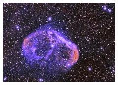 k-crescent_bicolor_v5