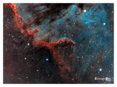 ngc7000wall_natural_v2