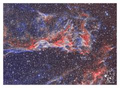 pickering_tri_bicolor_v3