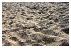IMG_6503