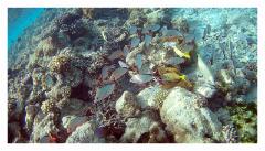 f-2025_0326_113302_045