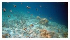 f-2025_0328_151612_146