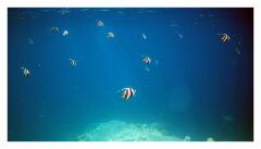 f-2025_0328_152846_183