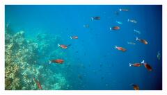 f-2025_0328_153554_222