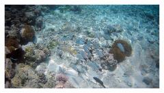 f-2025_0402_120043_342