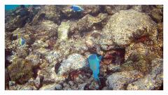 f-2025_0403_163850_442