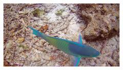 f-2025_0404_102331_502