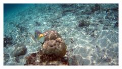 f-2025_0405_110107_663