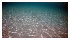 f-2025_0405_111231_687