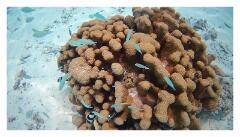 f-2025_0405_122056_726