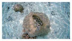 f-2025_0405_122246_729