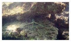 f-vlcsnap-2025-05-08-18h19m57s208