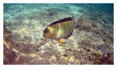 f-vlcsnap-2025-05-08-18h21m01s796