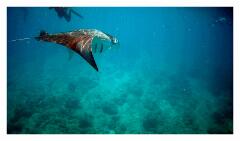 f-vlcsnap-2025-05-08-18h24m53s782