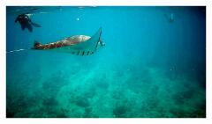 f-vlcsnap-2025-05-08-18h25m23s430