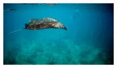 f-vlcsnap-2025-05-08-18h25m34s134